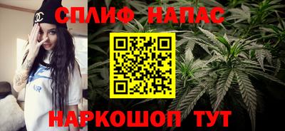 PSILOCYBIN Бугуруслан