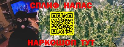 PSILOCYBIN Бугуруслан