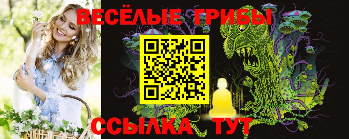 Галлюциногенные грибы мицелий Скопин