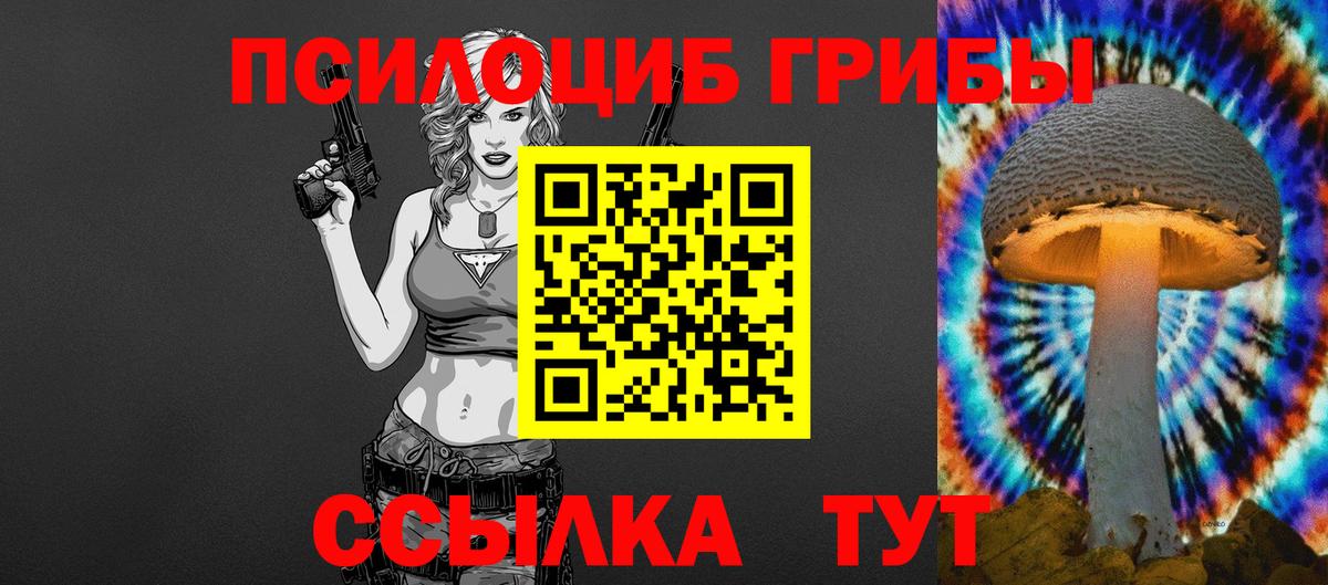 Скопин  Галлюциногенные грибы Cubensis  Вход с VPN 